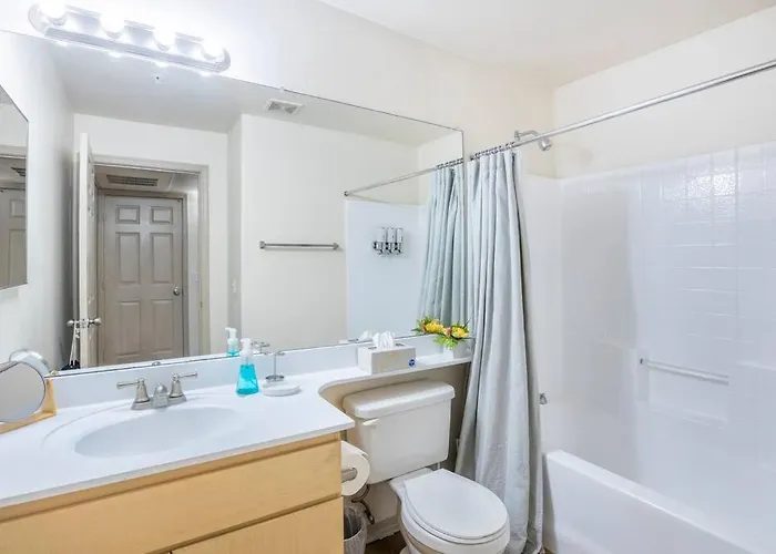 Hidden Gem In 2 Bed, 2 Bath Tempe
